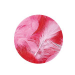 Plume décorative 3-10cm sachet de 10 assorties - Rouge