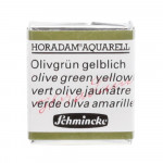Peinture aquarelle Horadam demi-godet extra-fine - 525 - Vert olive jaunâtre