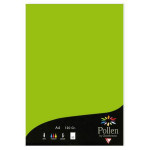 Feuille faire part Pollen 120g 210 x 297mm par 50 - Vert Menthe