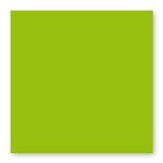 Carte faire part Pollen 210g 160 x 160mm par 25 - Vert Menthe