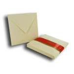 Eclat d'Or - 20 enveloppes doublées - blanc