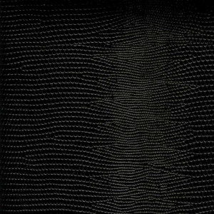 Papier Pellaq®  LEZARD 50 x 68 cm 188 g/m² - Noir