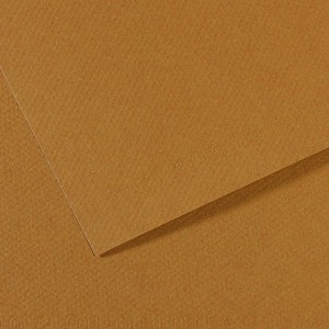 Papier Mi-Teintes 160g 75 x 110cm - 575 - Vert Billard