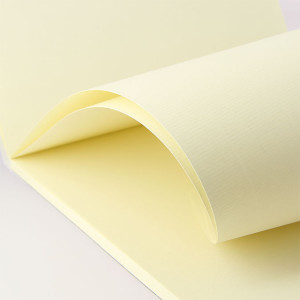 Bloc de papier à lettre ivoire Vergé 100 g/m² 50 feuilles - 21 x 29,7 cm (A4)