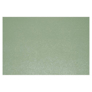 Papier Simili cuir Boréal 50 x 70 cm 230 g/m² - Beige moyen