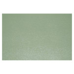 Papier Simili cuir Boréal 50 x 70 cm 230 g/m² - Beige moyen